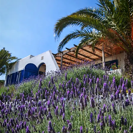 Oneiro Glico Aparthotel Agia Marina (Aegina)